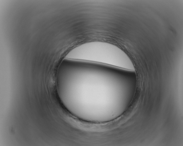 X0000114630040200910201031