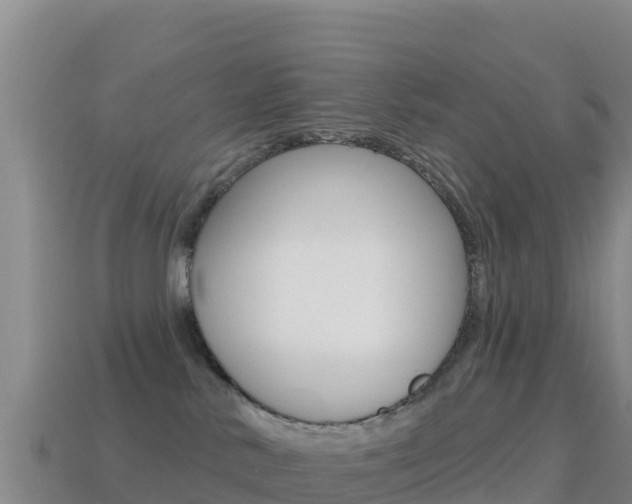 X0000114630042200910201031