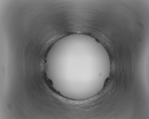 X0000114630043200910201031