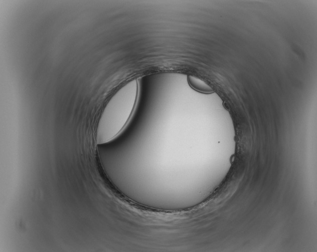 X0000114630044200910201031