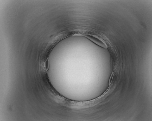 X0000114630045200910201031