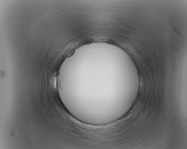 X0000114630046200910201031