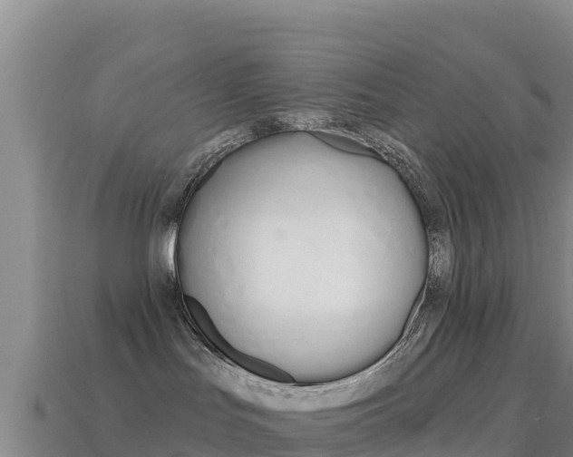 X0000114630047200910201031