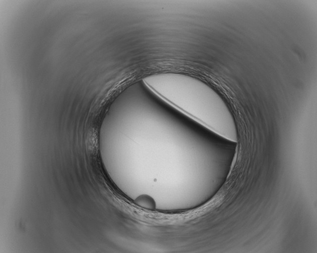 X0000114630048200910201031