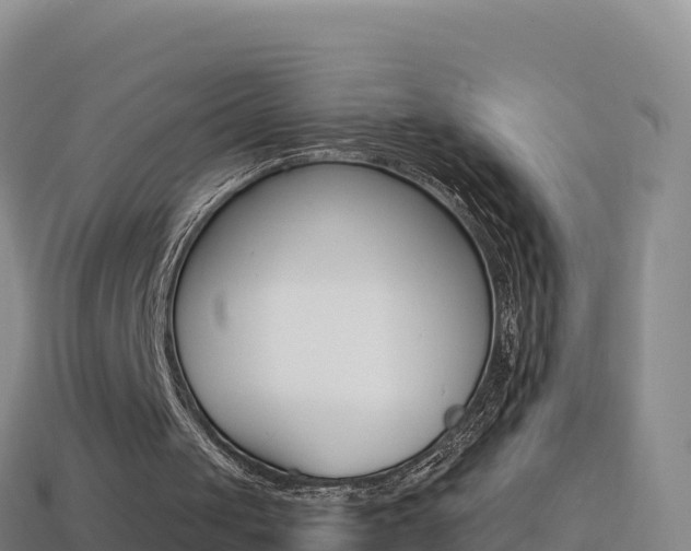 X0000114630049200910201030