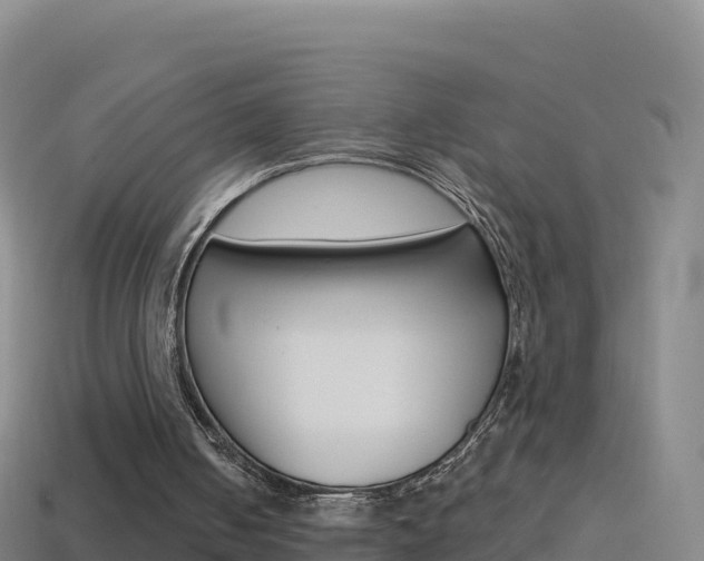 X0000114630050200910201030