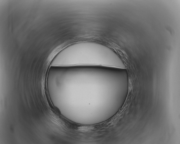 X0000114630051200910201030