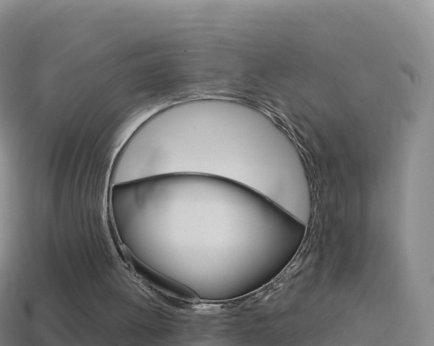 X0000114630052200910201030