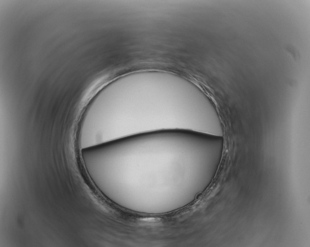 X0000114630053200910201030