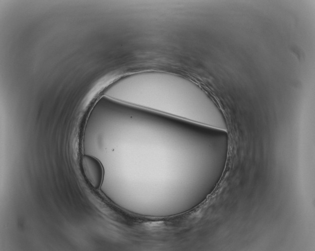 X0000114630054200910201030