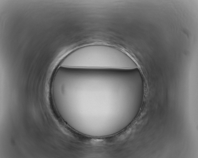 X0000114630055200910201030