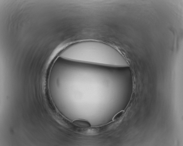 X0000114630056200910201030