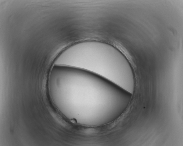 X0000114630058200910201030