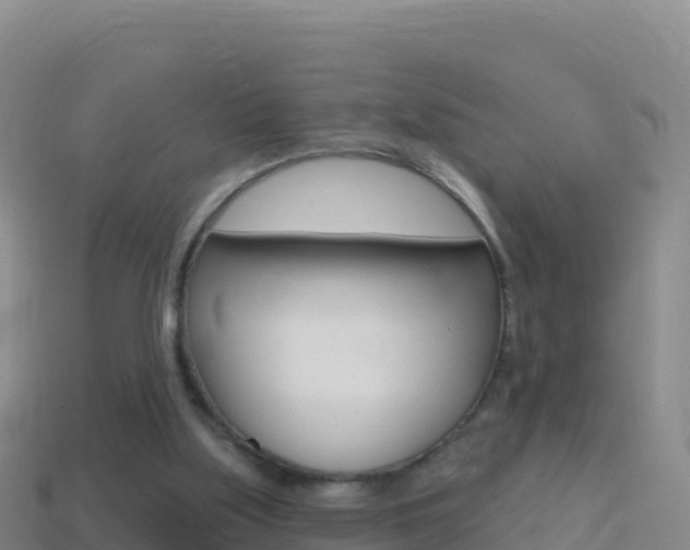 X0000114630059200910201030