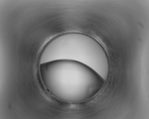 X0000114630060200910201030