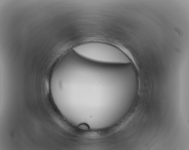 X0000114630061200910201030