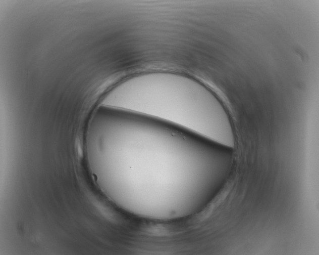 X0000114630062200910201030