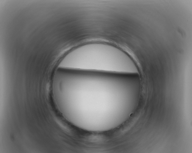 X0000114630063200910201030