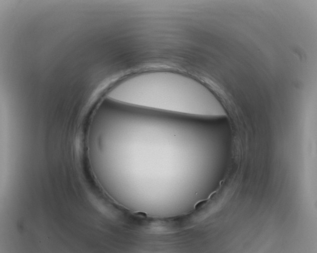 X0000114630064200910201030