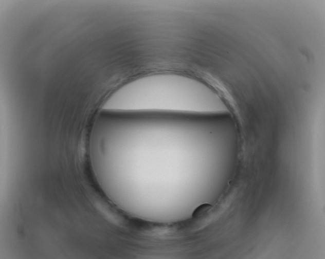 X0000114630065200910201030