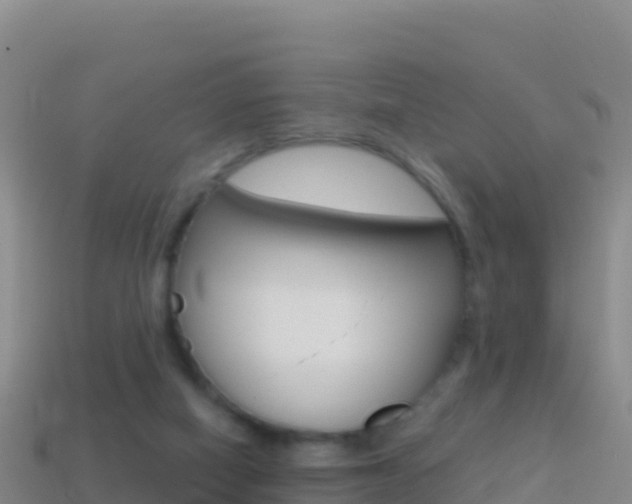 X0000114630066200910201030