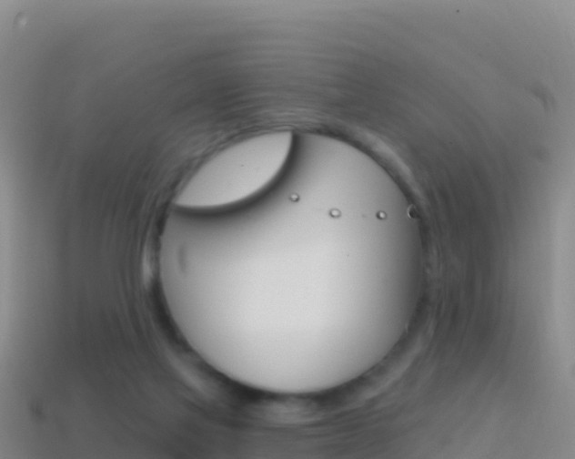 X0000114630069200910201030