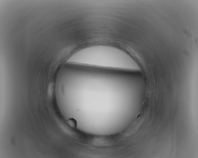 X0000114630070200910201030