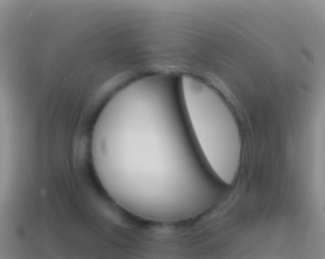 X0000114630071200910201030