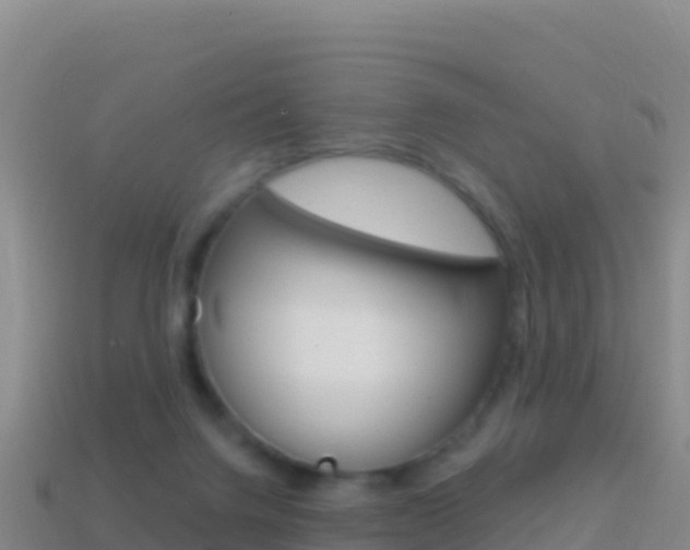 X0000114630072200910201030