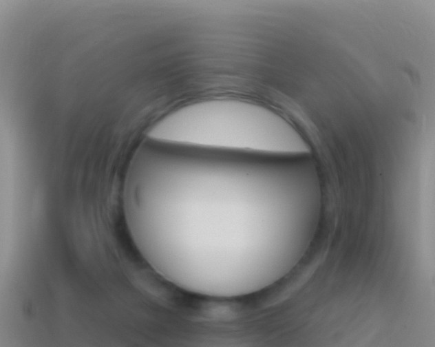 X0000114630073200910201030