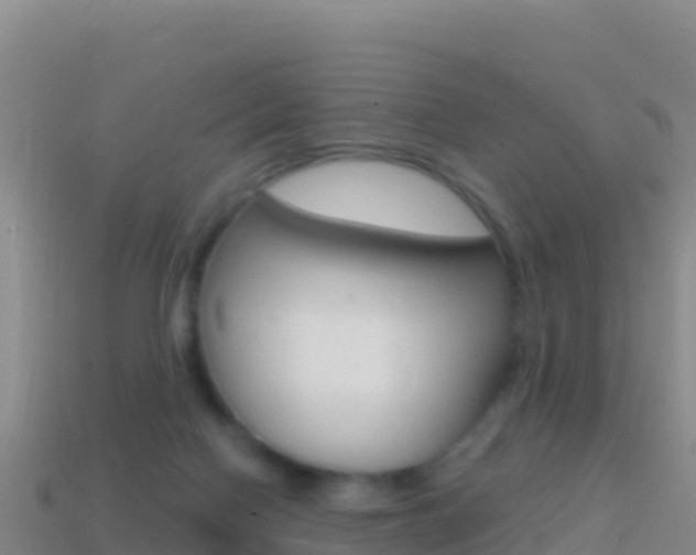 X0000114630074200910201030