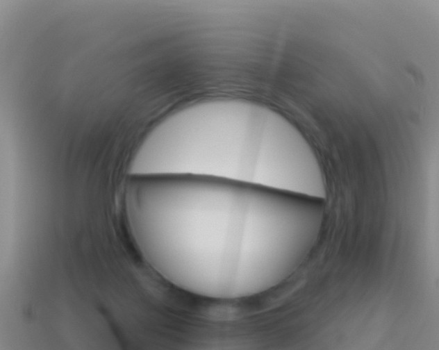 X0000114630075200910201030