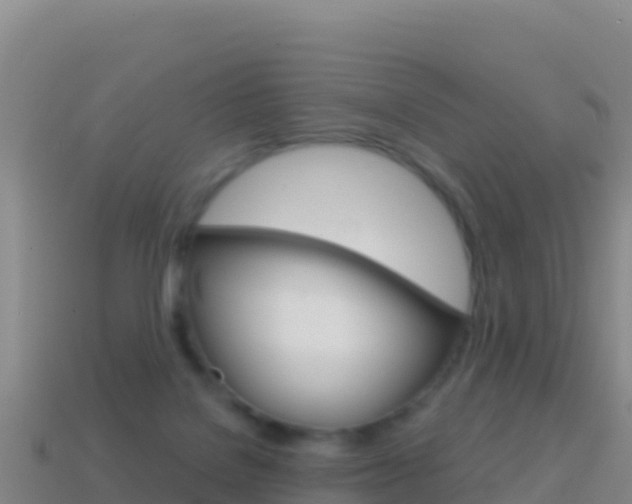 X0000114630076200910201030