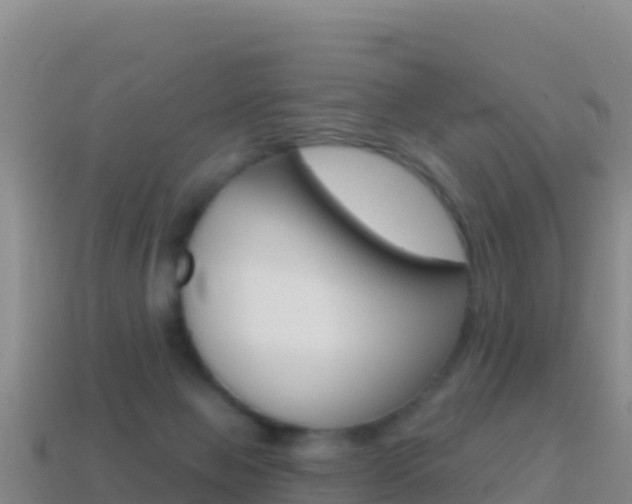 X0000114630077200910201030