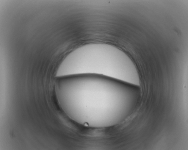 X0000114630078200910201030