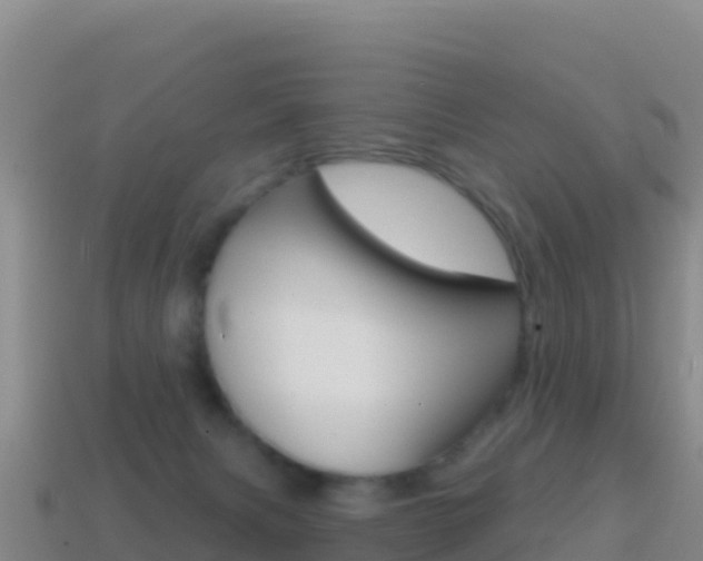 X0000114630079200910201030