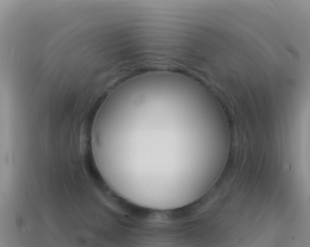 X0000114630080200910201030