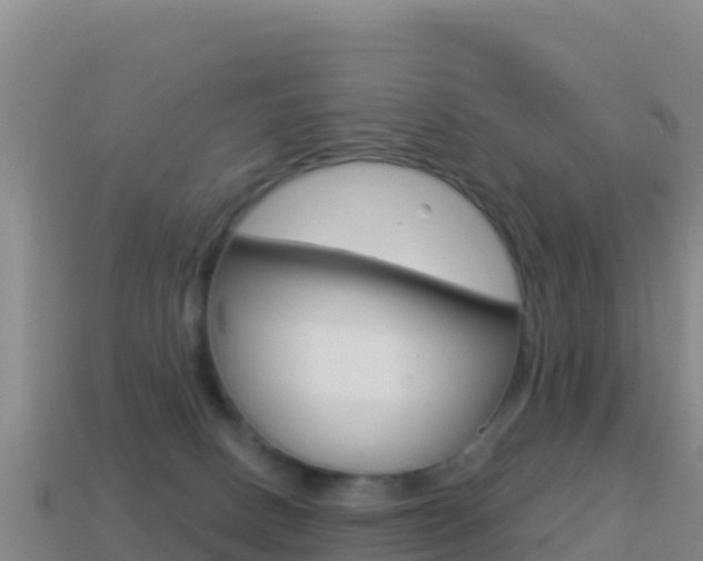 X0000114630082200910201030