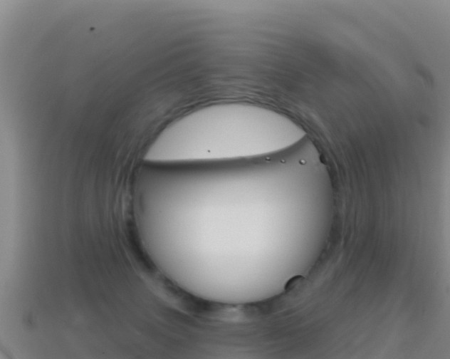 X0000114630083200910201030