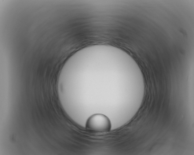 X0000114630084200910201031