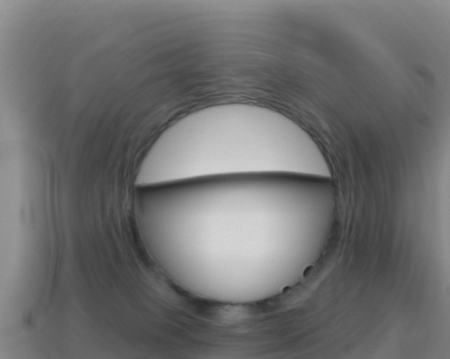 X0000114630085200910201031