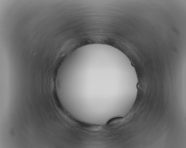 X0000114630086200910201031