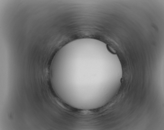 X0000114630087200910201031