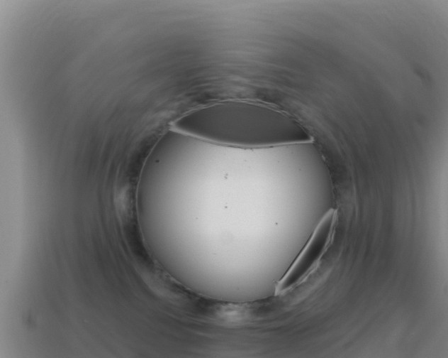 X0000114630088200910201031