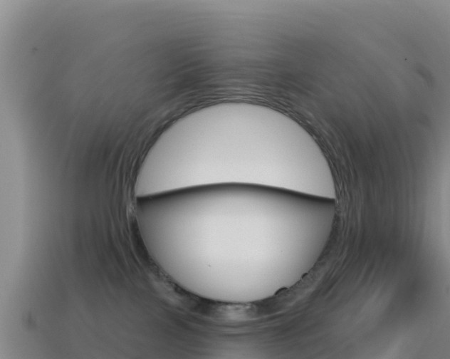 X0000114630089200910201031