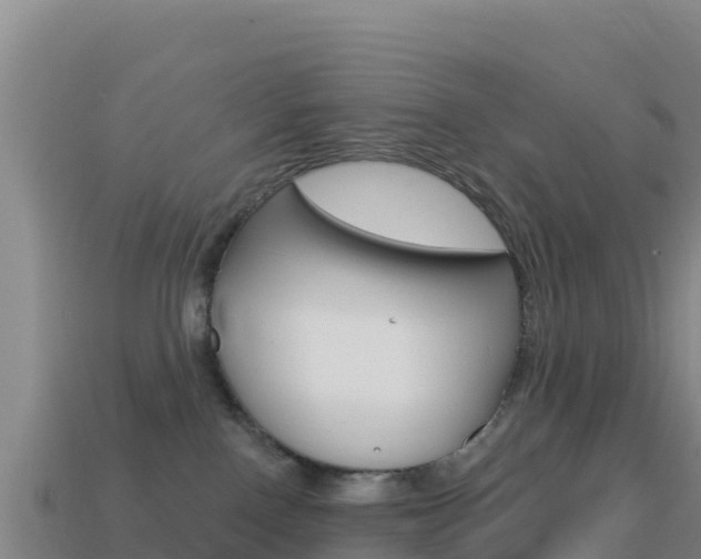 X0000114630090200910201031