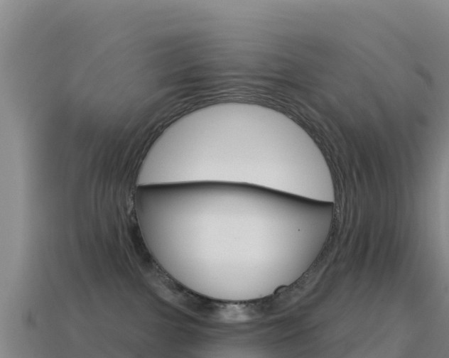 X0000114630091200910201031