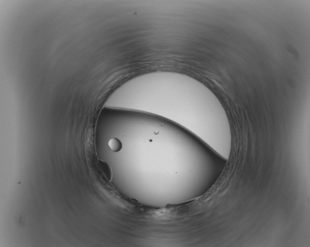 X0000114630092200910201031