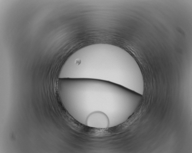 X0000114630093200910201031