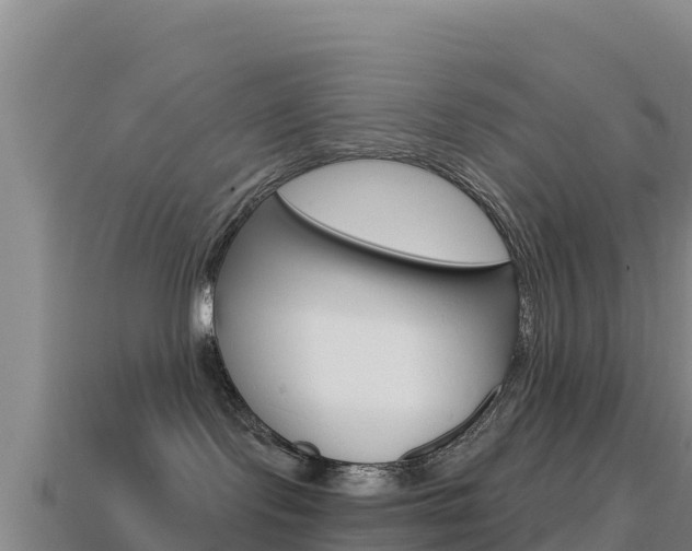 X0000114630095200910201031